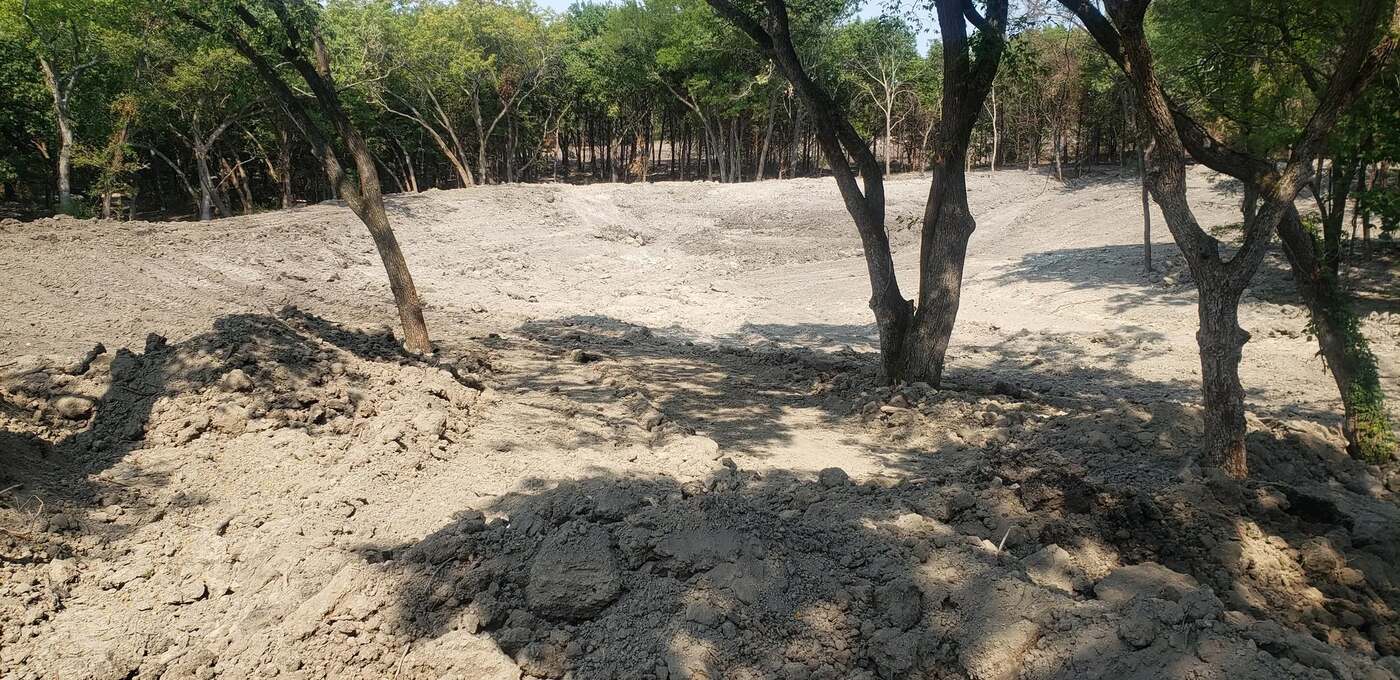 Pond basin dug out of grey clay among standing trees